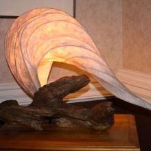 white tusk by JR Moyer
